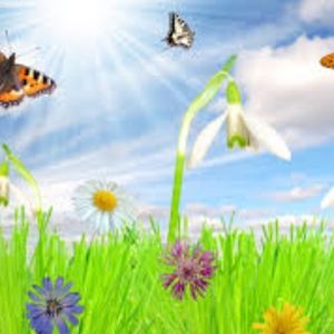 Meet your Posher, Tania